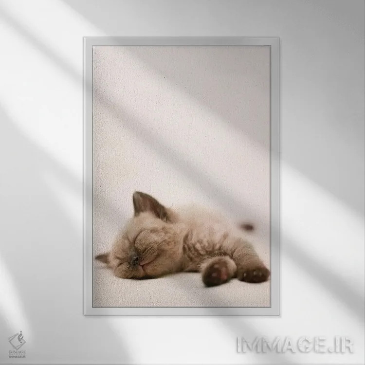 تابلو دکوراتیو مارکوس اثر راشل هیل - نمای قابدار سفید