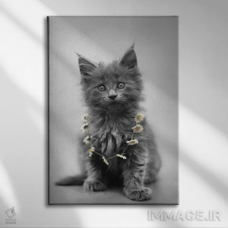 تابلو دکوراتیو لارا اثر راشل هیل - نمای روبهرو روی دیوار