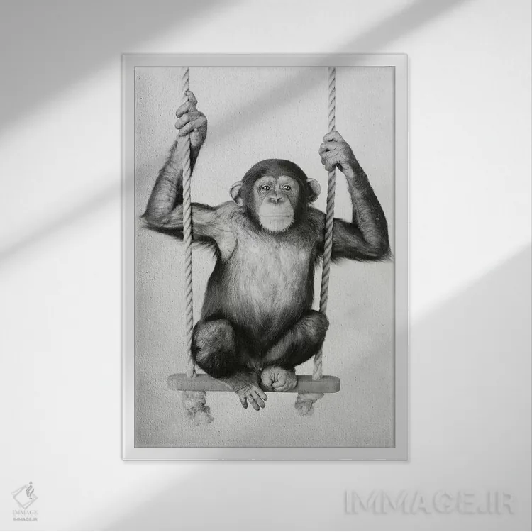 تابلو دکوراتیو سانی اثر راشل هیل - نمای قابدار سفید
