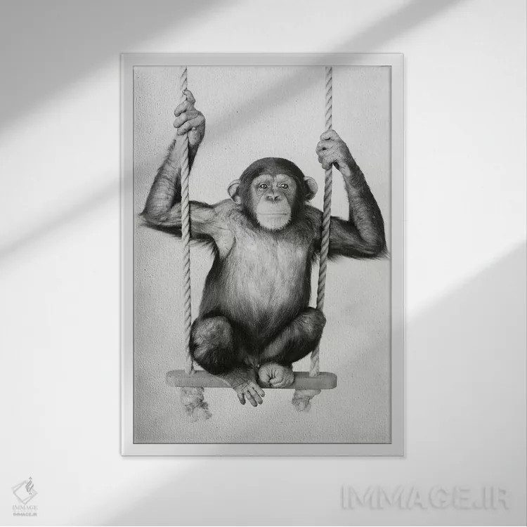تابلو دکوراتیو سانی اثر راشل هیل - نمای قابدار سفید