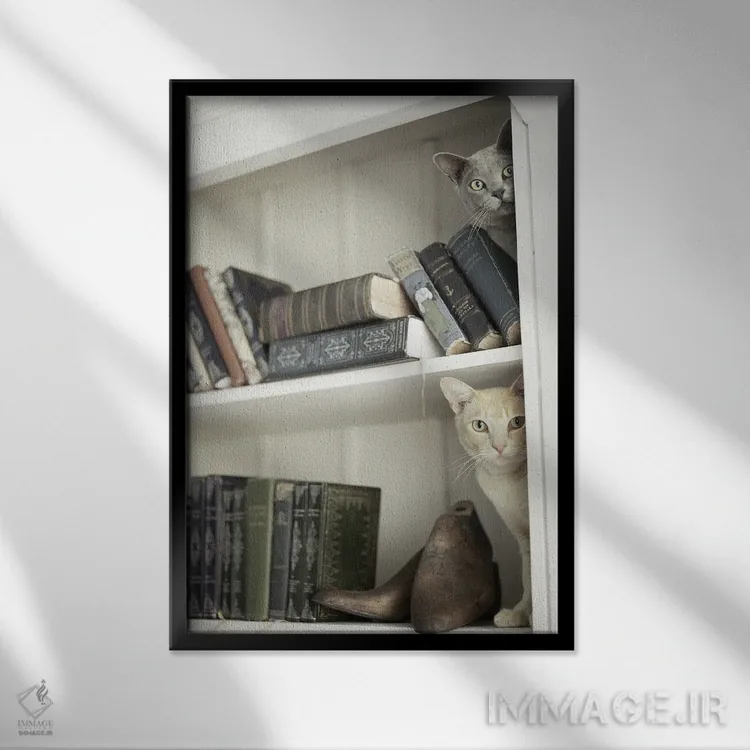 تابلو دکوراتیو مرلین و نایت اثر راشل هیل - نمای قابدار مشکی