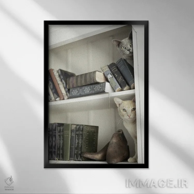 تابلو دکوراتیو مرلین و نایت اثر راشل هیل - نمای قابدار مشکی