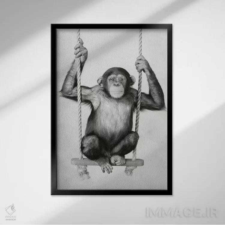 تابلو دکوراتیو سانی اثر راشل هیل - نمای قابدار مشکی