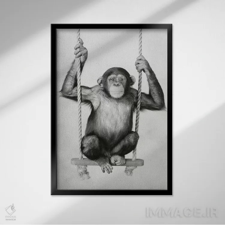 تابلو دکوراتیو سانی اثر راشل هیل - نمای قابدار مشکی