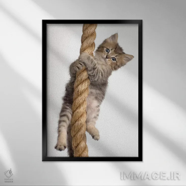 تابلو دکوراتیو اریک اثر راشل هیل - نمای قابدار مشکی