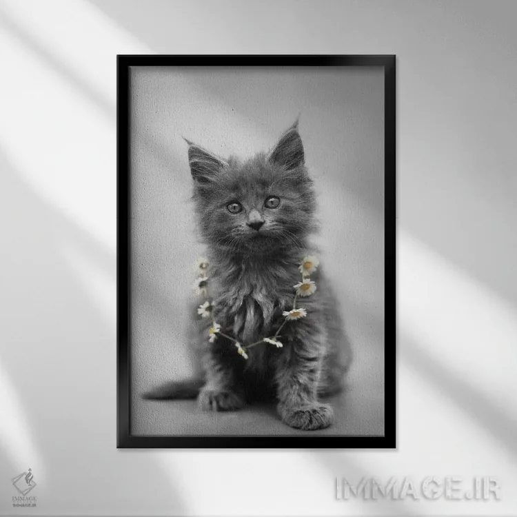 تابلو دکوراتیو لارا اثر راشل هیل - نمای قابدار مشکی