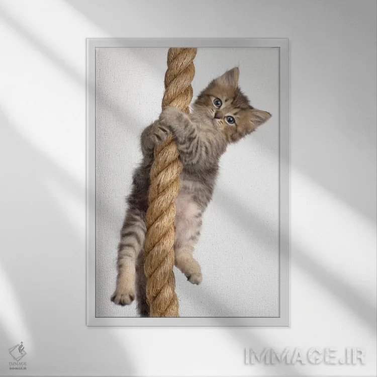 تابلو دکوراتیو اریک اثر راشل هیل - نمای قابدار سفید