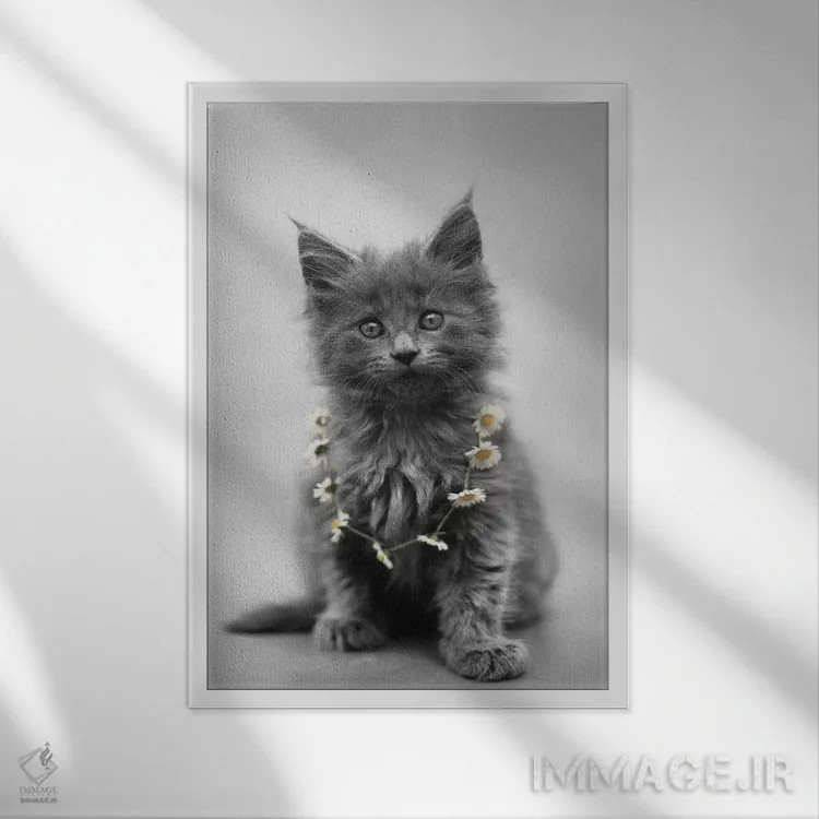 تابلو دکوراتیو لارا اثر راشل هیل - نمای قابدار سفید