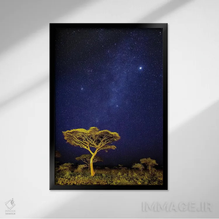 تابلو دکوراتیو آفریقا. تانزانیا. درخشش راه شیری در آسمان شب ندو تو در… اثر رالف اچ. بندجبار - نمای قابدار مشکی