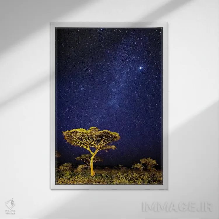 تابلو دکوراتیو آفریقا. تانزانیا. درخشش راه شیری در آسمان شب ندو تو در… اثر رالف اچ. بندجبار - نمای قابدار سفید