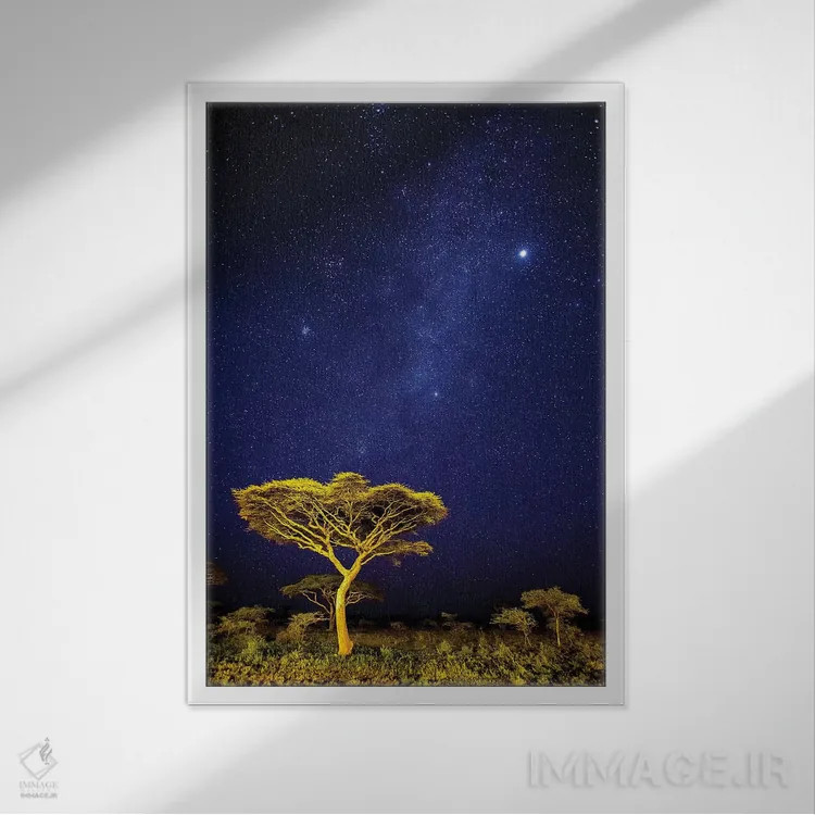 تابلو دکوراتیو آفریقا. تانزانیا. درخشش راه شیری در آسمان شب ندو تو در… اثر رالف اچ. بندجبار - نمای قابدار سفید