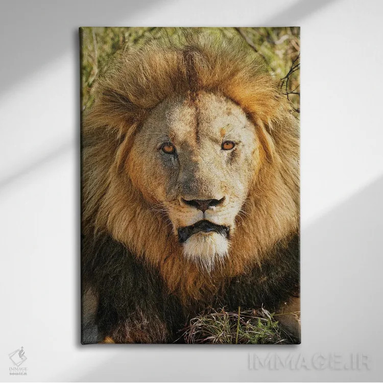 تابلو دکوراتیو پادشاه کهنسال آفریقایی اثر رندا تامپسون - نمای روبهرو روی دیوار