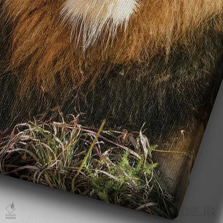 تابلو دکوراتیو پادشاه کهنسال آفریقایی اثر رندا تامپسون - نمای نزدیک بافت بوم