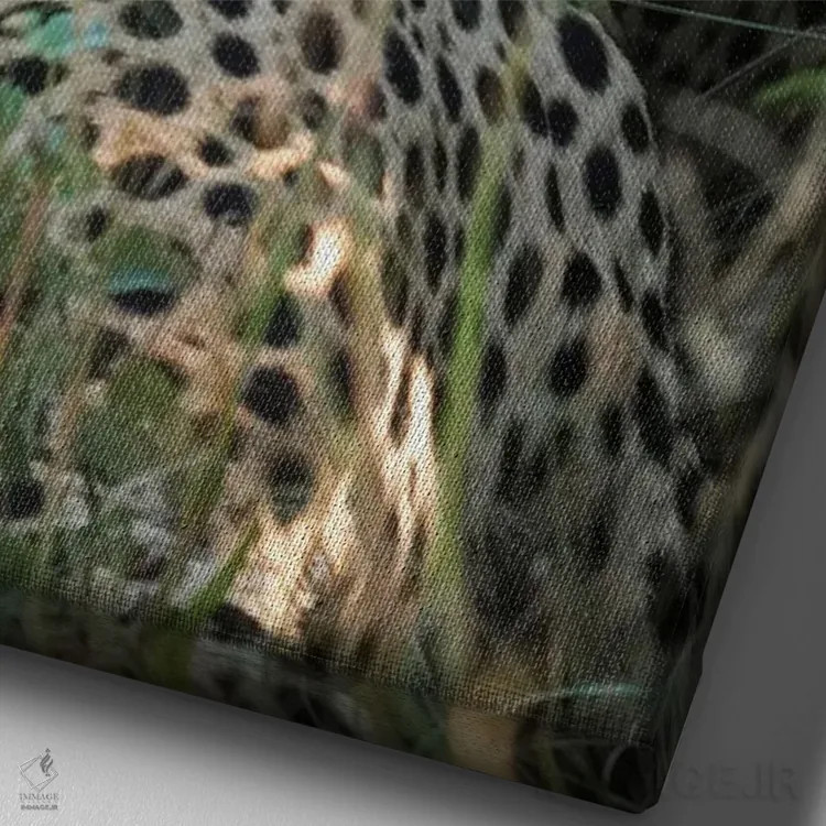 تابلو دکوراتیو یوزپلنگ آفریقایی اثر رندا تامپسون - نمای نزدیک بافت بوم