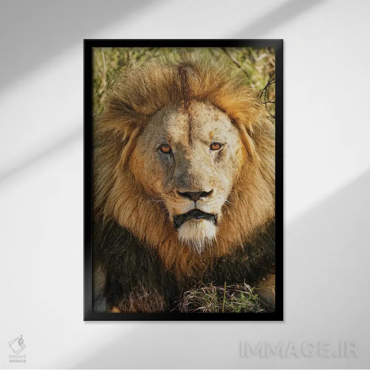 تابلو دکوراتیو پادشاه کهنسال آفریقایی اثر رندا تامپسون - نمای قابدار مشکی