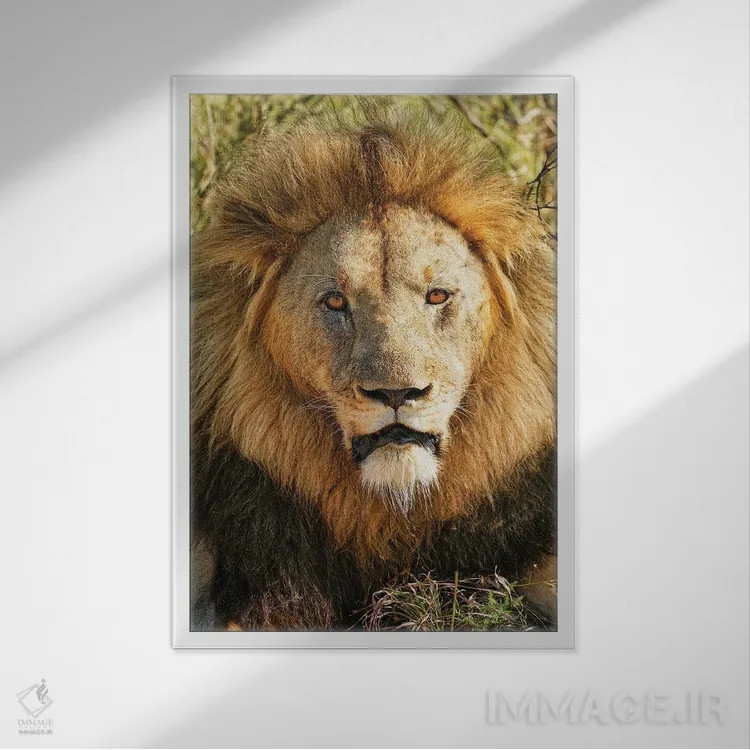 تابلو دکوراتیو پادشاه کهنسال آفریقایی اثر رندا تامپسون - نمای قابدار سفید