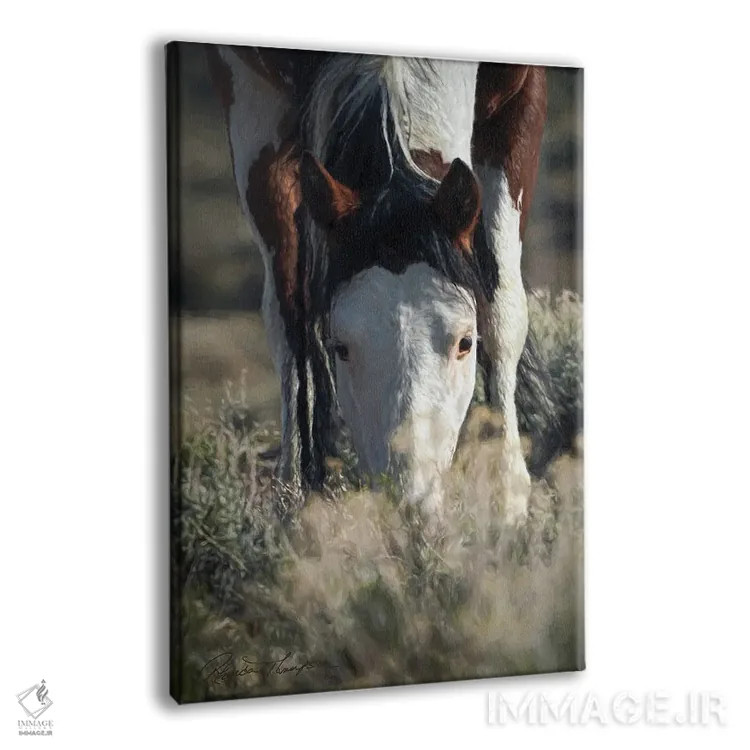 تابلو دکوراتیو دشت بی مو SWB ۲ اثر رندا تامپسون - نمای پرسپکتیو محصول