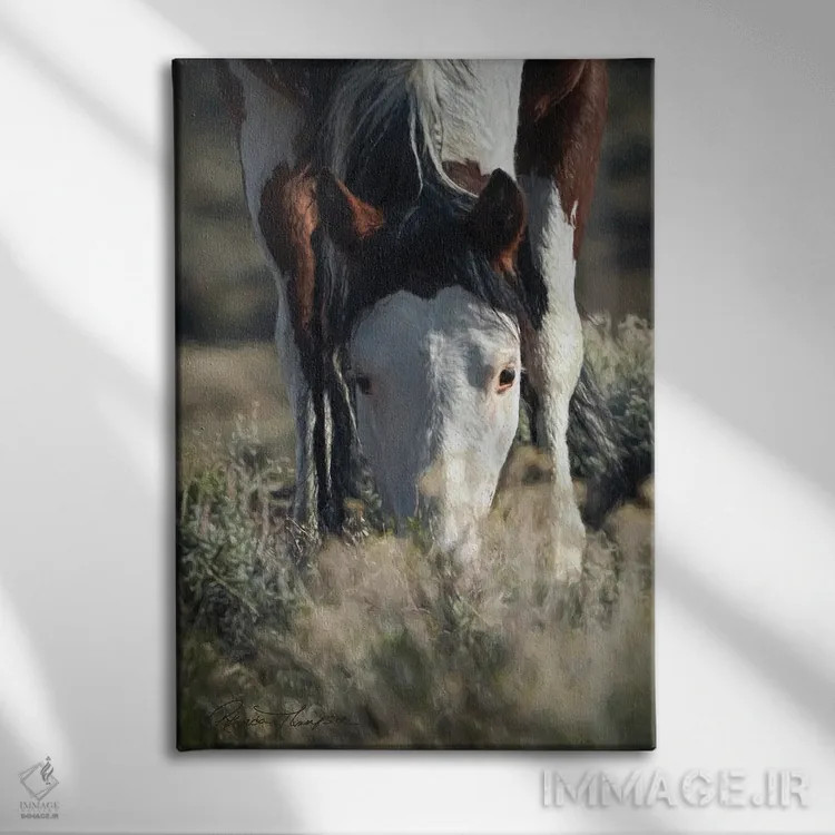 تابلو دکوراتیو دشت بی مو SWB ۲ اثر رندا تامپسون - نمای روبهرو روی دیوار