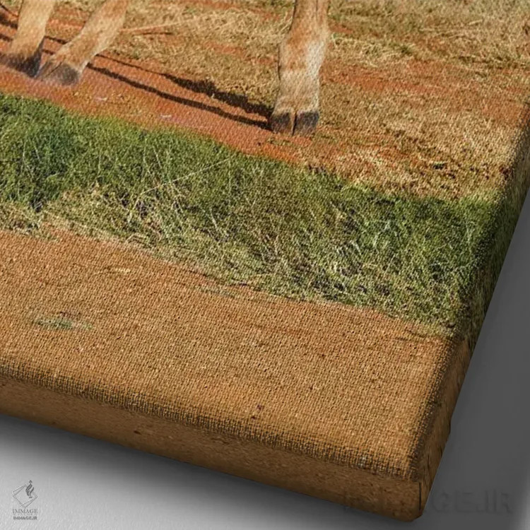 تابلو دکوراتیو زرافه های رقصان آفریقایی اثر رندا تامپسون - نمای نزدیک بافت بوم