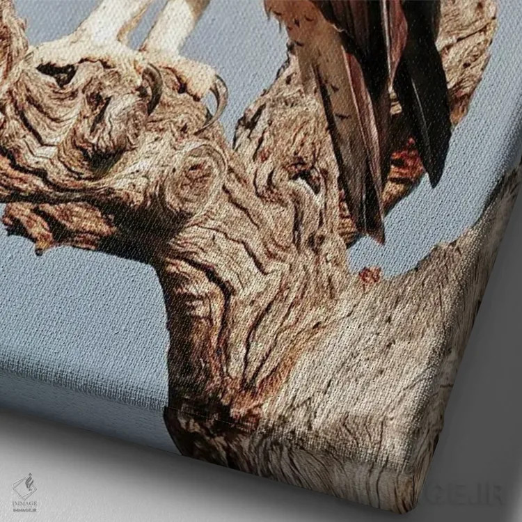 تابلو دکوراتیو عقاب جنگی آفریقایی اثر رندا تامپسون - نمای نزدیک بافت بوم