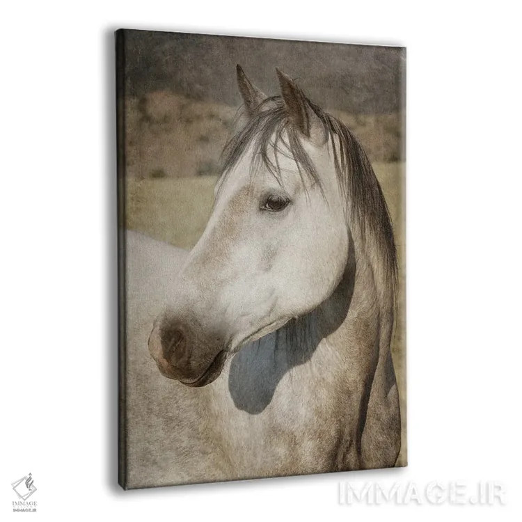 تابلو دکوراتیو چشم مراقب اثر رندا تامپسون - نمای پرسپکتیو محصول