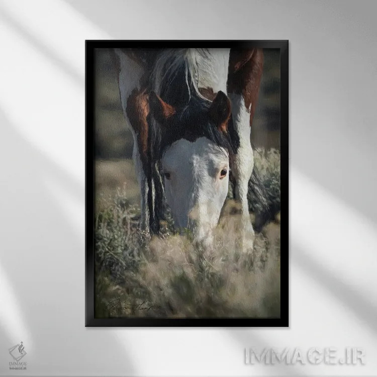 تابلو دکوراتیو دشت بی مو SWB ۲ اثر رندا تامپسون - نمای قابدار مشکی