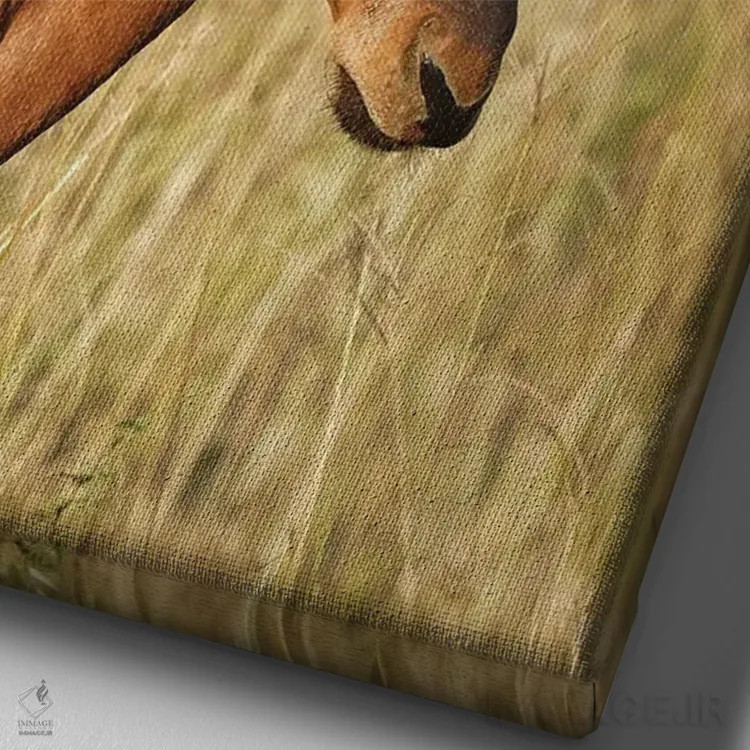 تابلو دکوراتیو آنتلوپ ایلان آفریقایی اثر رندا تامپسون - نمای نزدیک بافت بوم