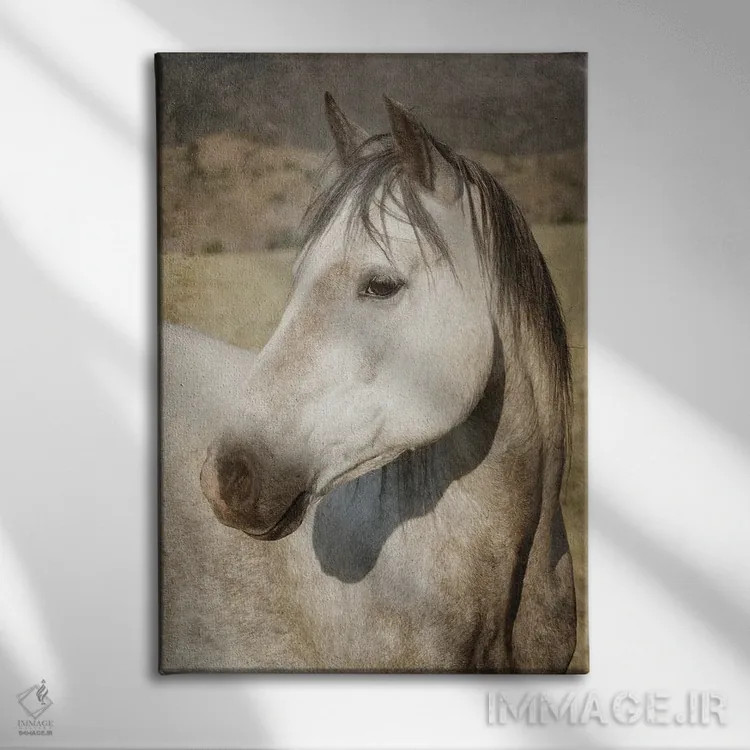 تابلو دکوراتیو چشم مراقب اثر رندا تامپسون - نمای روبهرو روی دیوار