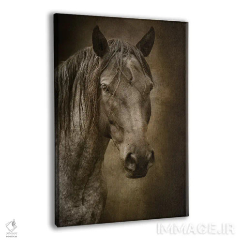 تابلو دکوراتیو اسب سیاه اثر رندا تامپسون - نمای پرسپکتیو محصول