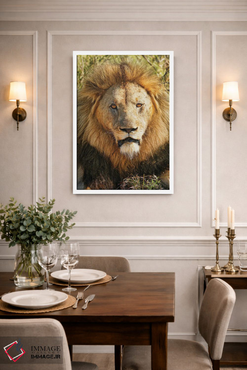 تابلو دکوراتیو پادشاه کهنسال آفریقایی اثر رندا تامپسون - D1W