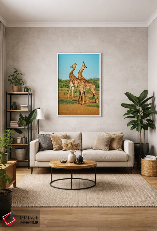 تابلو دکوراتیو نبرد زرافه های نر آفریقایی اثر رندا تامپسون - D1W