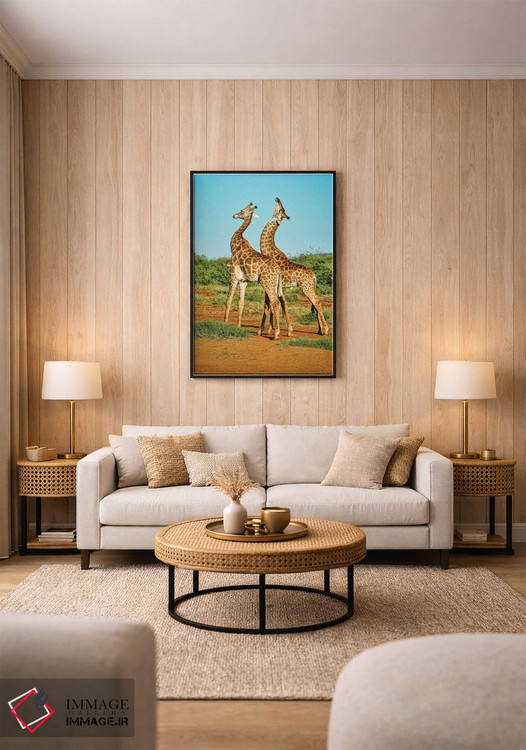 تابلو دکوراتیو نبرد زرافه های نر آفریقایی اثر رندا تامپسون - D2B