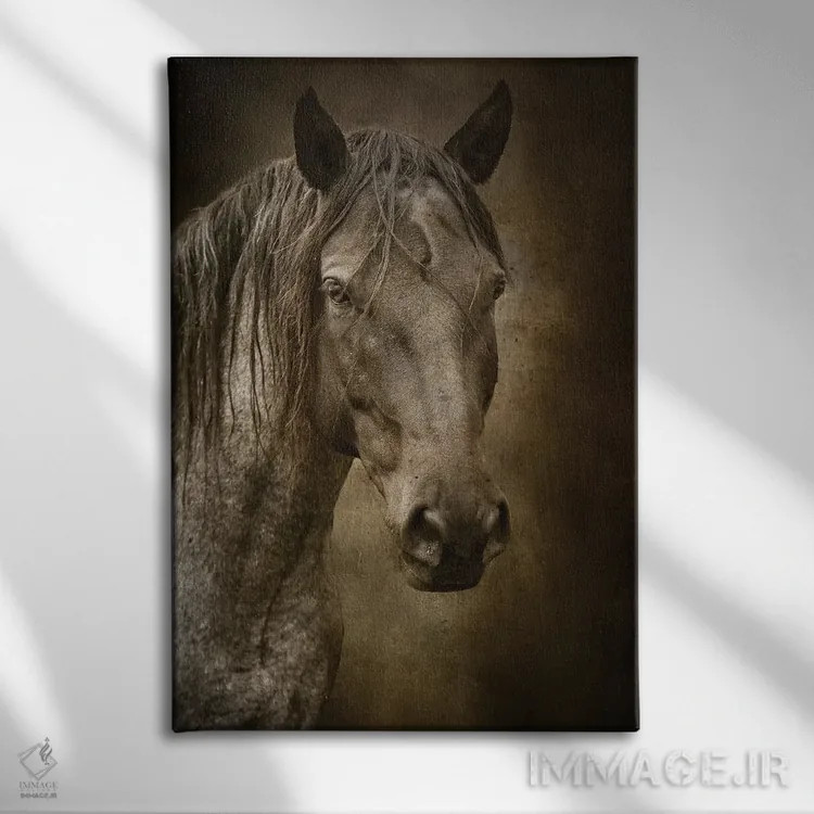 تابلو دکوراتیو اسب سیاه اثر رندا تامپسون - نمای روبهرو روی دیوار