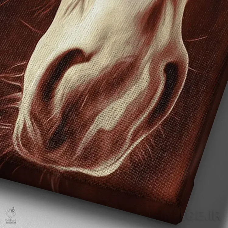 تابلو دکوراتیو اسب رودئو به رنگ سپیا اثر رندا تامپسون - نمای نزدیک بافت بوم