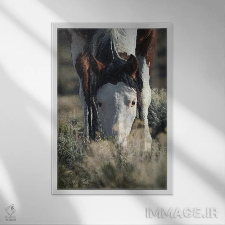 تابلو دکوراتیو دشت بی مو SWB ۲ اثر رندا تامپسون - نمای قابدار سفید