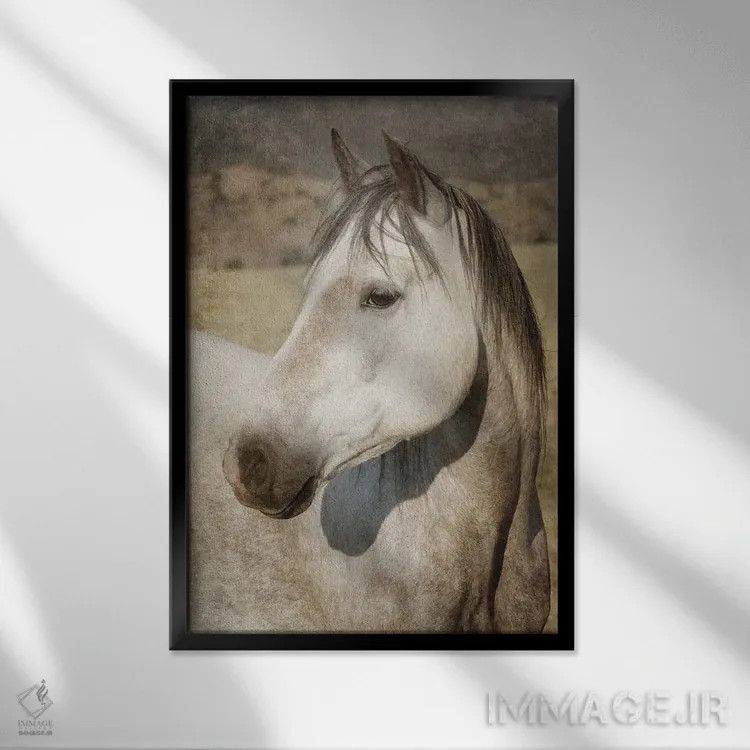 تابلو دکوراتیو چشم مراقب اثر رندا تامپسون - نمای قابدار مشکی