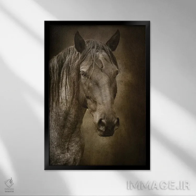 تابلو دکوراتیو اسب سیاه اثر رندا تامپسون - نمای قابدار مشکی