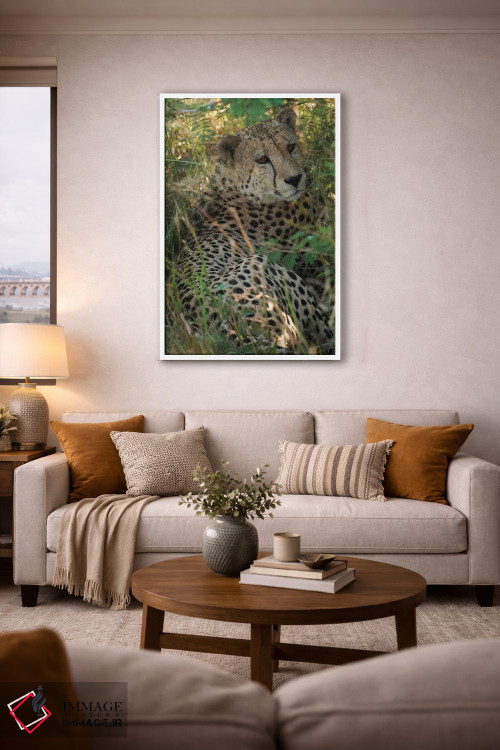 تابلو دکوراتیو یوزپلنگ آفریقایی اثر رندا تامپسون - D2W