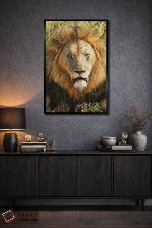 تابلو دکوراتیو پادشاه کهنسال آفریقایی اثر رندا تامپسون - D3B