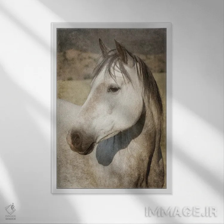 تابلو دکوراتیو چشم مراقب اثر رندا تامپسون - نمای قابدار سفید