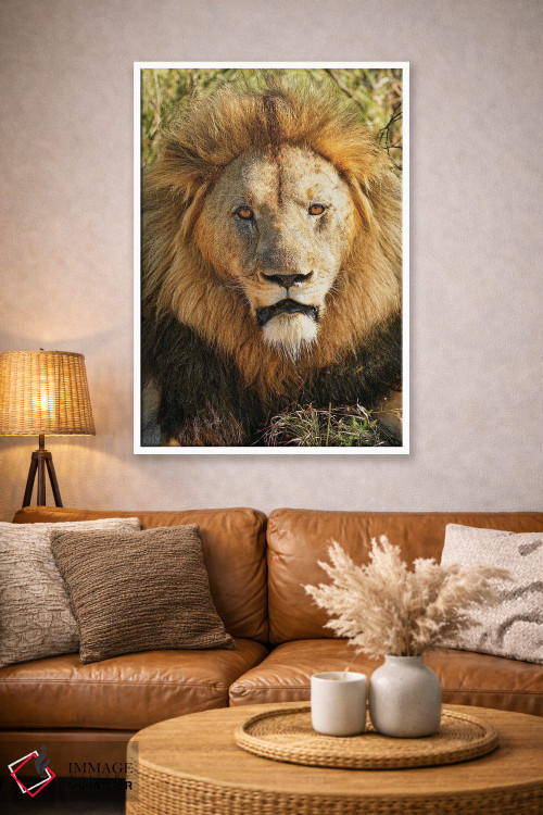 تابلو دکوراتیو پادشاه کهنسال آفریقایی اثر رندا تامپسون - D4W