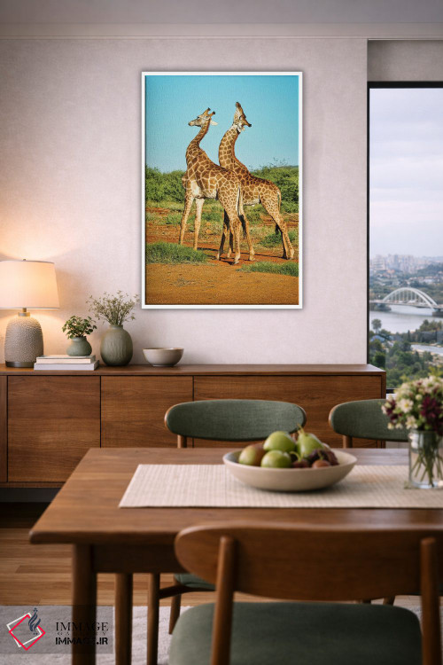 تابلو دکوراتیو نبرد زرافه های نر آفریقایی اثر رندا تامپسون - D6W