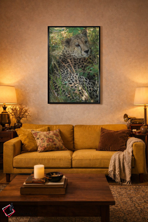 تابلو دکوراتیو یوزپلنگ آفریقایی اثر رندا تامپسون - D4B