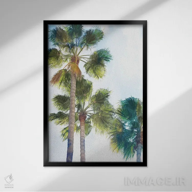 تابلو دکوراتیو پالمتو ۲ اثر رایان هارتسون-ودل - نمای قابدار مشکی