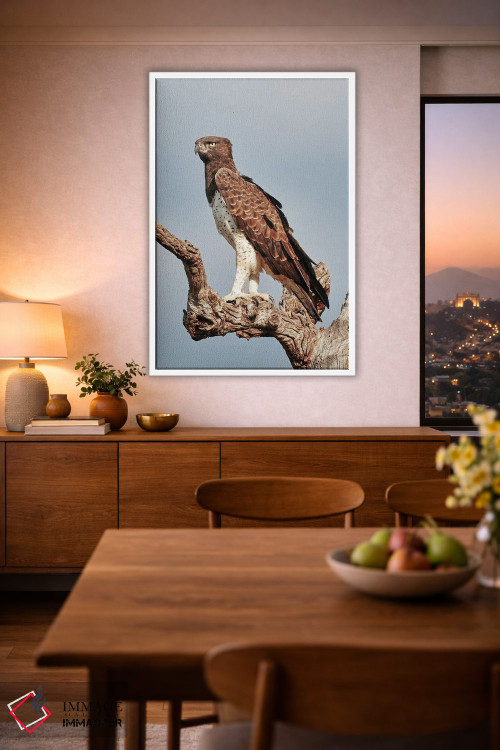 تابلو دکوراتیو عقاب جنگی آفریقایی اثر رندا تامپسون - D1W