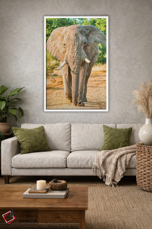 تابلو دکوراتیو فیل آفریقایی؛ پادشاه واقعی اثر رندا تامپسون - D1W