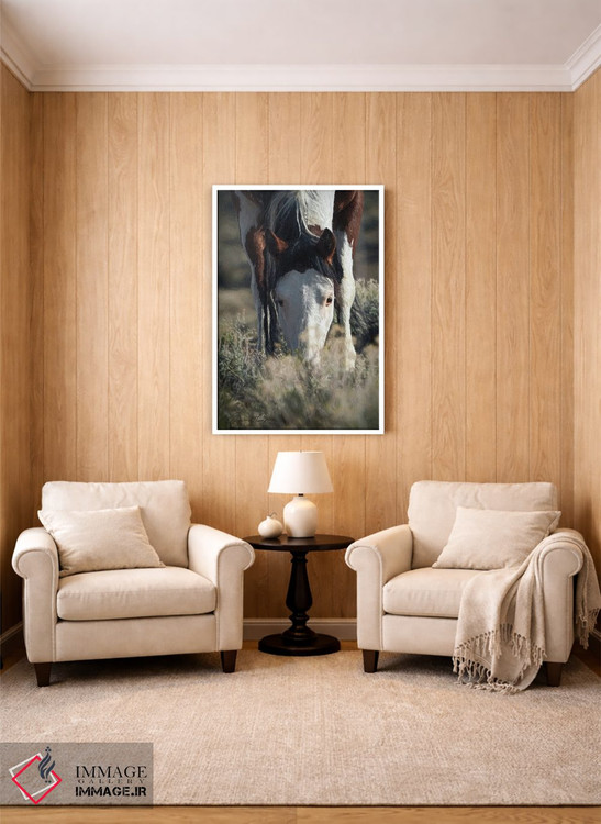 تابلو دکوراتیو دشت بی مو SWB ۲ اثر رندا تامپسون - D1W