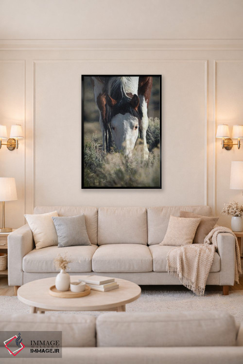 تابلو دکوراتیو دشت بی مو SWB ۲ اثر رندا تامپسون - D4B