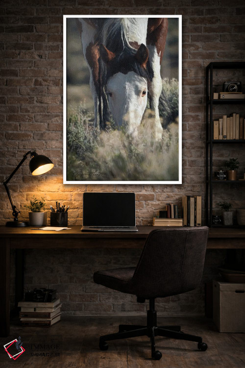 تابلو دکوراتیو دشت بی مو SWB ۲ اثر رندا تامپسون - D3W