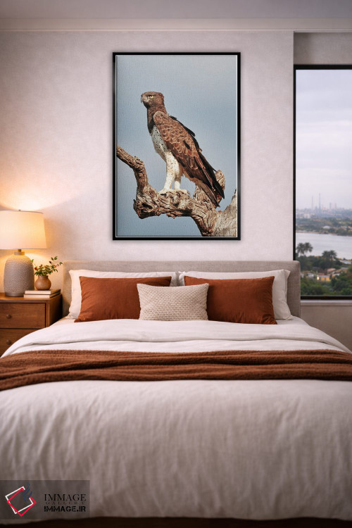 تابلو دکوراتیو عقاب جنگی آفریقایی اثر رندا تامپسون - D4B